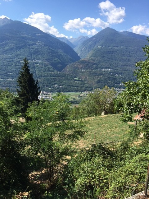 SONDRIO - POGGIRIDENTI - TERRENO EDIFICABILE IN VENDITA 2.360 MQ